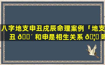 八字地支申丑戌辰命理案例「地支丑 🌴 和申是相生关系 🦅 吗」